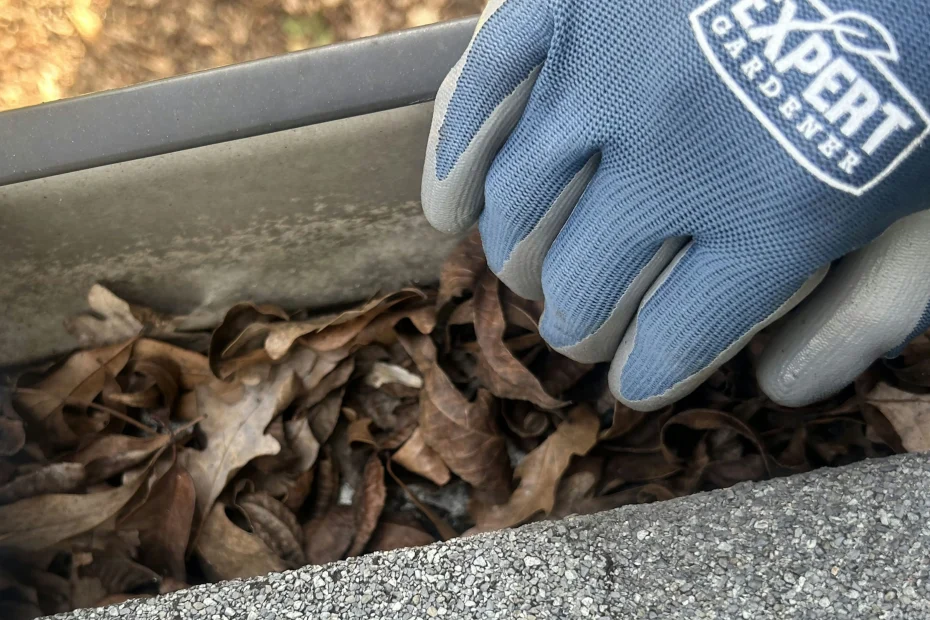 Gutter Cleaning Sperry