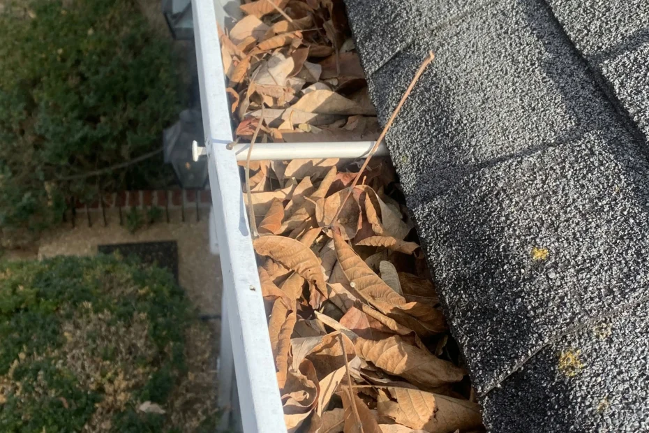 Gutter Cleaning Sperry